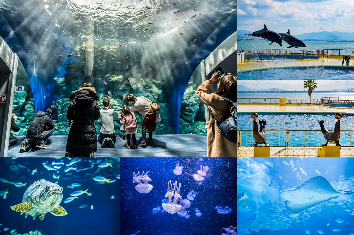 Fukuoka Trip Part 7 Marine World Uminonakamichi KOSUBLOG   A502e29a431caf0e88bbe8bbba499b1c 